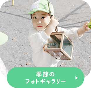季節のフォトギャラリー